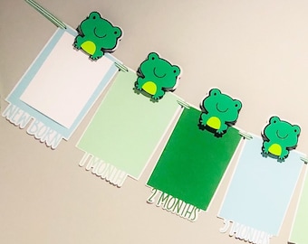 Frog Monthly Photo Banner NB to 12 Months