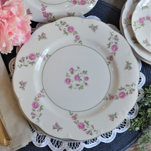 Theodore Haviland, New York, Delaware, Pink Flowers, Replacement, Mismatched, Garden Tablescape, Bridal Luncheon,