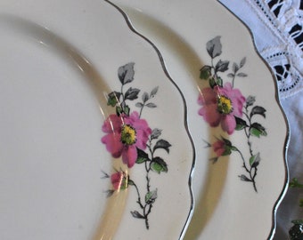 Set of 4 W. S. George Salad Plates, Pink Blossoms, Silver Trim, Floral,  Pink Tablescape, Wedding Gift, Cake, Snack Plates, Bridal Tea Party