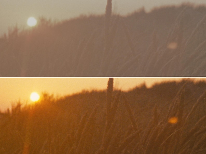 Puede incluir: Fotograf&iacute;a de un paisaje de una puesta de sol sobre un campo de hierba alta. El sol es un orbe brillante en el cielo, que proyecta un brillo c&aacute;lido y dorado sobre la escena. La hierba se recorta contra la luz.