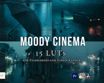 15 Moody Cinema-LUT's: duister en filmisch LUT-pakket voor filmmakers en videomakers | Premiere Pro, Final Cut, DaVinci Resolve