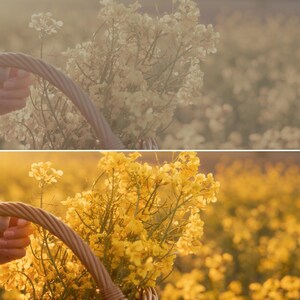 Puede incluir: Una cesta de mimbre llena de flores amarillas, sostenida frente a un campo de flores amarillas. La cesta tiene un asa marr&oacute;n. La imagen est&aacute; ba&ntilde;ada por la c&aacute;lida luz del sol, creando un suave brillo dorado.