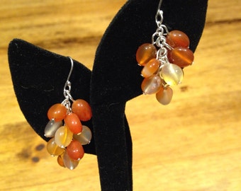 Carnelian Sterling Silver Dangle Earrings