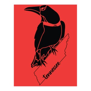 Op de afbeelding: Zwarte kraaienillustratie met het woord "Tennessee" en een kaartomtrek van de staat. De kraai heeft een rode kraag met de naam "JIM". De achtergrond is effen rood.