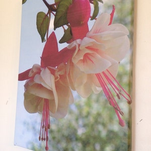 3 - 16x12 Digital Canvas Prints custom canvas print