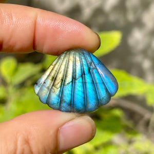 May include: A polished, iridescent labradorite gemstone carved in the shape of a scallop shell. The shell displays a range of colors, including blues, greens, and yellows. The gemstone is held between two fingers.