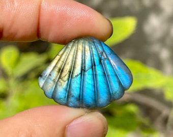 1.18" Labradorite Shell Carving | Crystal Seashell Figurine | Hand Carved Ocean Decor Gift