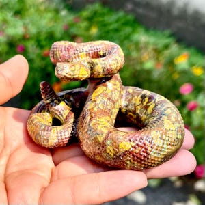 May include: A small, coiled rattlesnake figurine featuring a textured surface with a mottled pattern of brown, yellow, and green scales. The snake is depicted in a resting position with its rattle clearly visible, showcasing detailed craftsmanship.