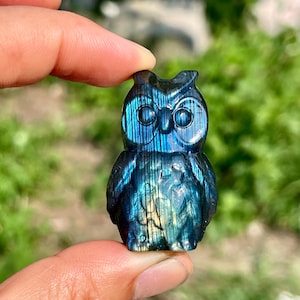 Può includere: Una piccola statuetta a forma di gufo scolpita in pietra labradorite, con una superficie lucida caratterizzata da riflessi iridescenti blu e dorati. Il gufo presenta occhi circolari prominenti, ciuffi auricolari e ali dettagliate.
