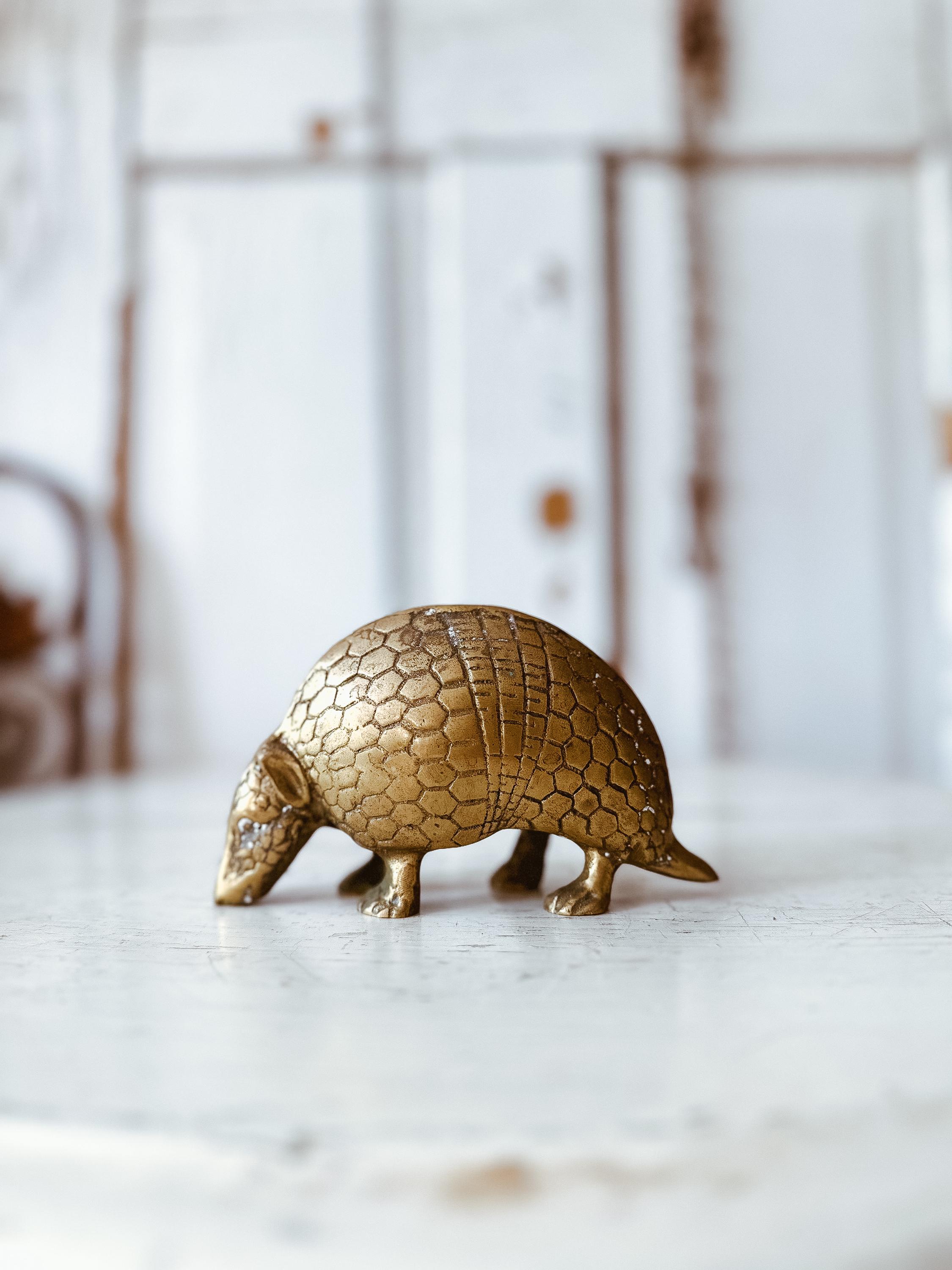 Buy Brass Armadillo Online In India India
