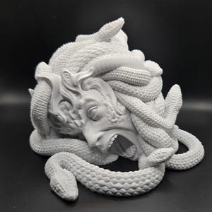May include: A gray sculpture of Medusa with snakes for hair, her mouth open in a scream. The sculpture is detailed, with visible scales on the snakes and facial features. The sculpture is on a black background.