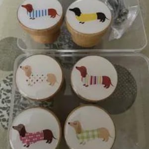 Può includere: Sei pomelli decorativi per armadi con disegni di cani bassotti. I pomelli hanno uno sfondo bianco con un'illustrazione colorata di un bassotto. I pomelli sono in legno e sono in un contenitore di plastica trasparente.