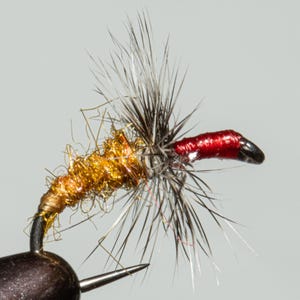 May include: Close-up of a fishing fly. The fly has a gold body, a red head, and gray and black wings. The hook is black and the fly is attached to a black holder.