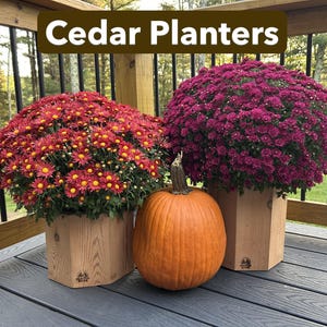 Cedar Planter, Indoor Outdoor Pot for plants, Rustic Porch or cedar box, poinsettia