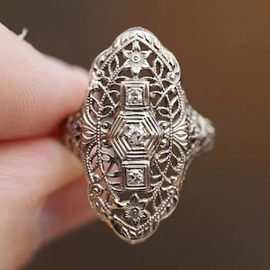 Puede incluir: Un anillo de plata ornamentado con un diseño de filigrana. El anillo presenta un hexágono central y dos cuadrados, cada uno con una pequeña gema transparente. Patrones florales y de hojas decoran la superficie, creando una estética antigua.