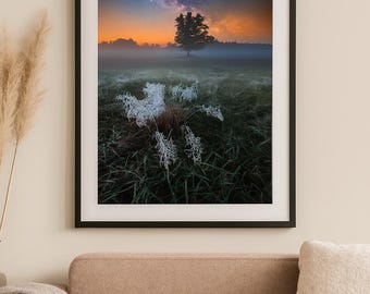 Milky Way Night Sky Over Tree and Misty Field – Digital Download Landscape Photography Print