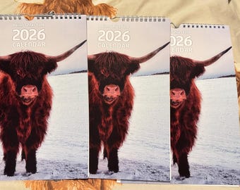 Highland Cow 2026 Calendar