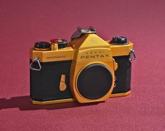 Camera Spray Paint | Custom Color Change | Custom Gold & Black