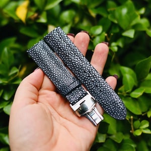May include: A pair of dark gray watch straps with a textured, dotted pattern, held against a backdrop of green foliage. The straps have a silver-colored buckle. The watch straps are made of a material that resembles stingray skin.