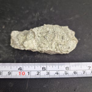 Könnte beinhalten: Ein hellgraues, unregelmäßig geformtes Gesteinsfragment. Der Felsen ist etwa 10 cm lang. Die Oberfläche hat ein raues, strukturiertes Aussehen. Ein Lineal liegt zur Maßstabsbestimmung neben dem Felsen.