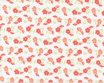 SUNWASHED Cloud Wildflower Toss by Corey Yoder of  Moda 29162 11,  Sold by 1/2 Yard
