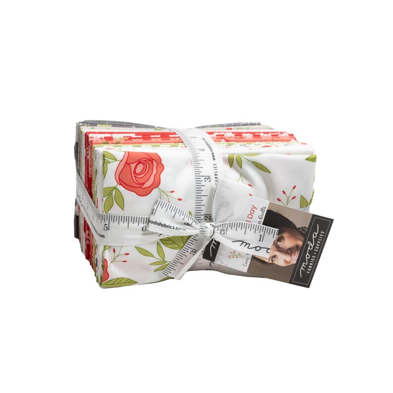 Picket Fence Cottages Quilt Kit Features Beautiful Day by Etsy