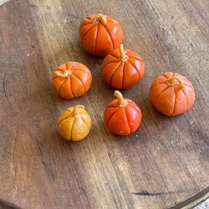 Jack be little miniature pumpkins