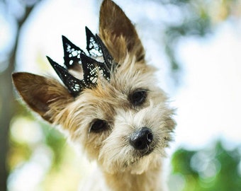 Black Pet Crown | birthday crown for small dog or cat | gift for pet | ultra mini Harper