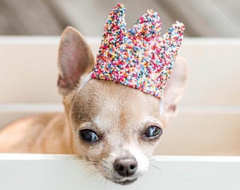 Dog SPRINKLES crown | Dog or Cat Birthday Crown | Pet Birthday Party Hat | Gift for Pet | Gotcha Day | ultra MINI size for dog or cat