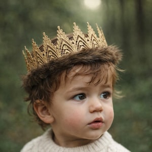 Where the Wild Things Are – Max Inspired Woodland Fur Crown - Wild One Cake Smash