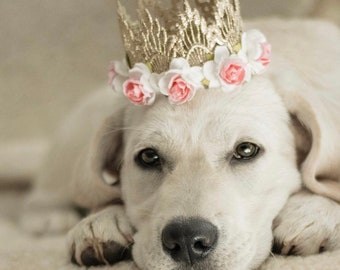 Dog Flower Crown | Pet Birthday Party Hat | Pet adoption Gift | Gotcha Day | Sienna MINI