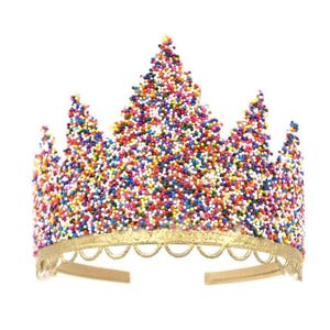 Rainbow Sprinkles Birthday Crown, Handmade Lace Tiara, Princess Party Headband, Cake Smash Prop, Photo Shoot Accessory for All Ages