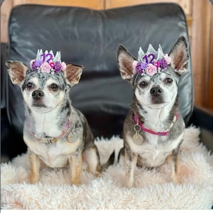 Dog Birthday Flower Crown Cat Birthday Tiara Pet Lover Gift Gotcha Day Party Hat photography prop silver purple image 4