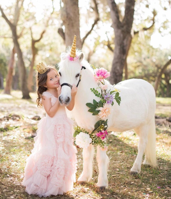 Rocking Horse Miniature Horse 