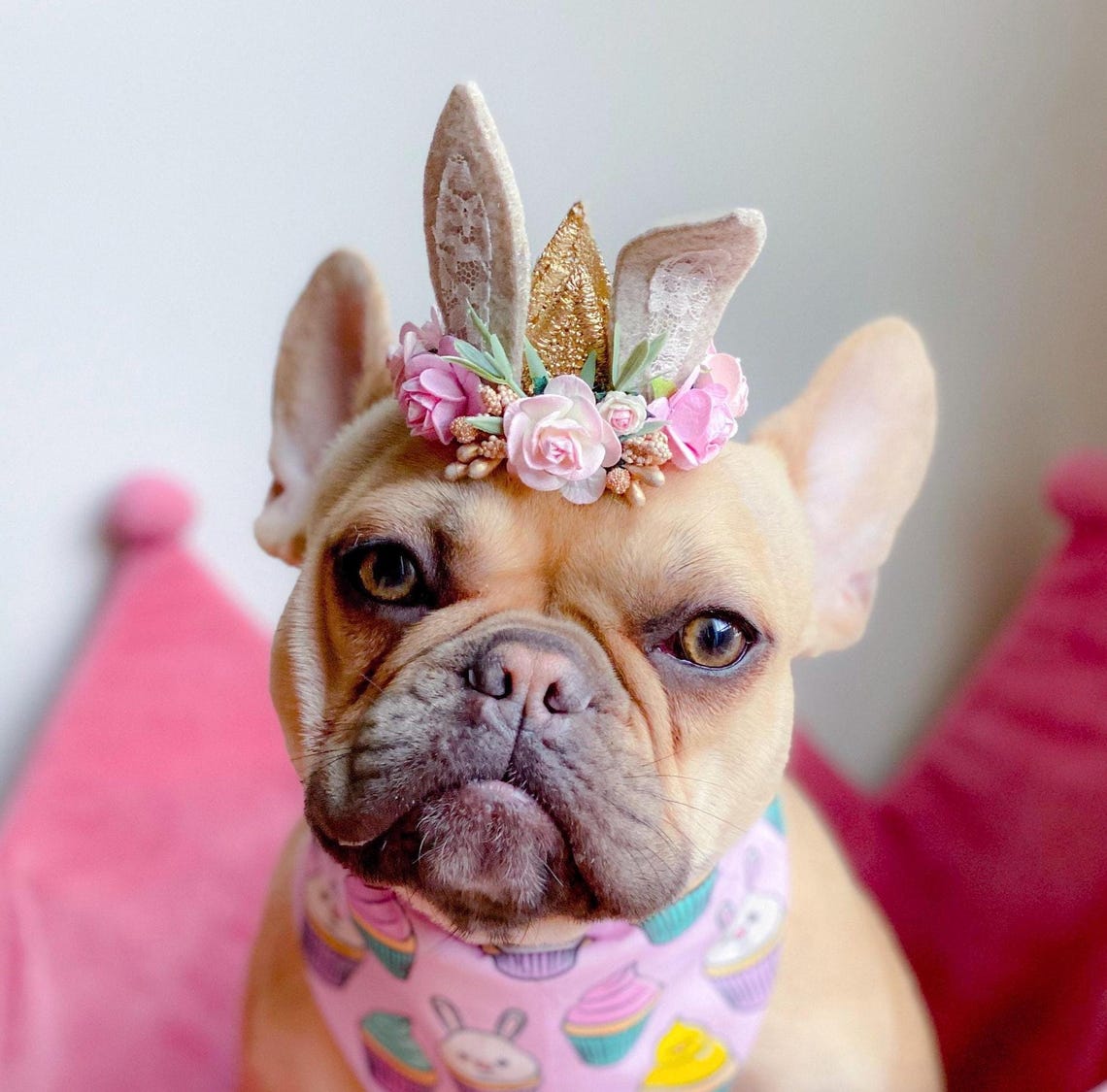 Small dog wearing a bunny ears flower crown and a festive Easter bandana.