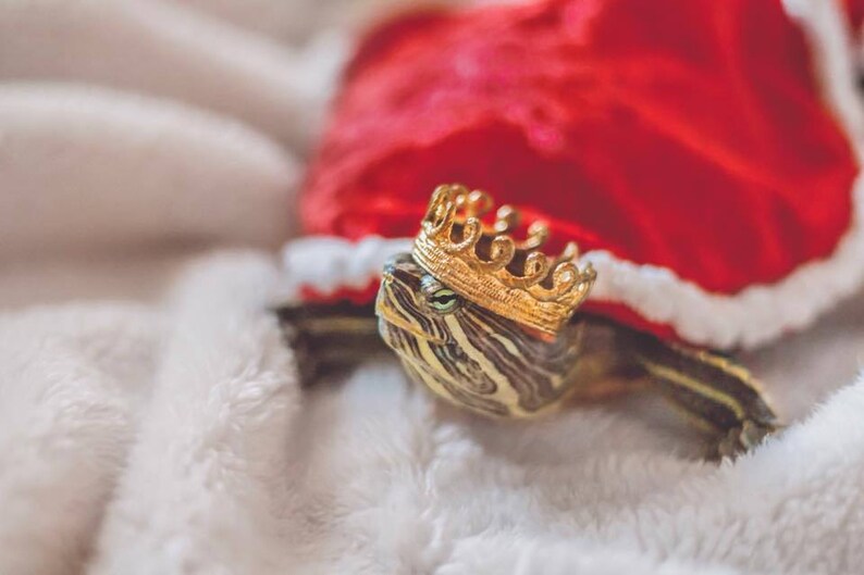 Small turtle wearing a gold mini lace crown and dressed in a red and white holiday cape. The turtle is resting on a cozy cream-colored blanket, styled for a Christmas-themed pet photo. This crown is part of a 4-piece mini crown bundle handmade from sculpted lace. Designed for tiny pets, dolls, and figurines, these crowns are freestanding with no bands or clips. Ideal for pet holiday shoots, gifts, and seasonal decor props.