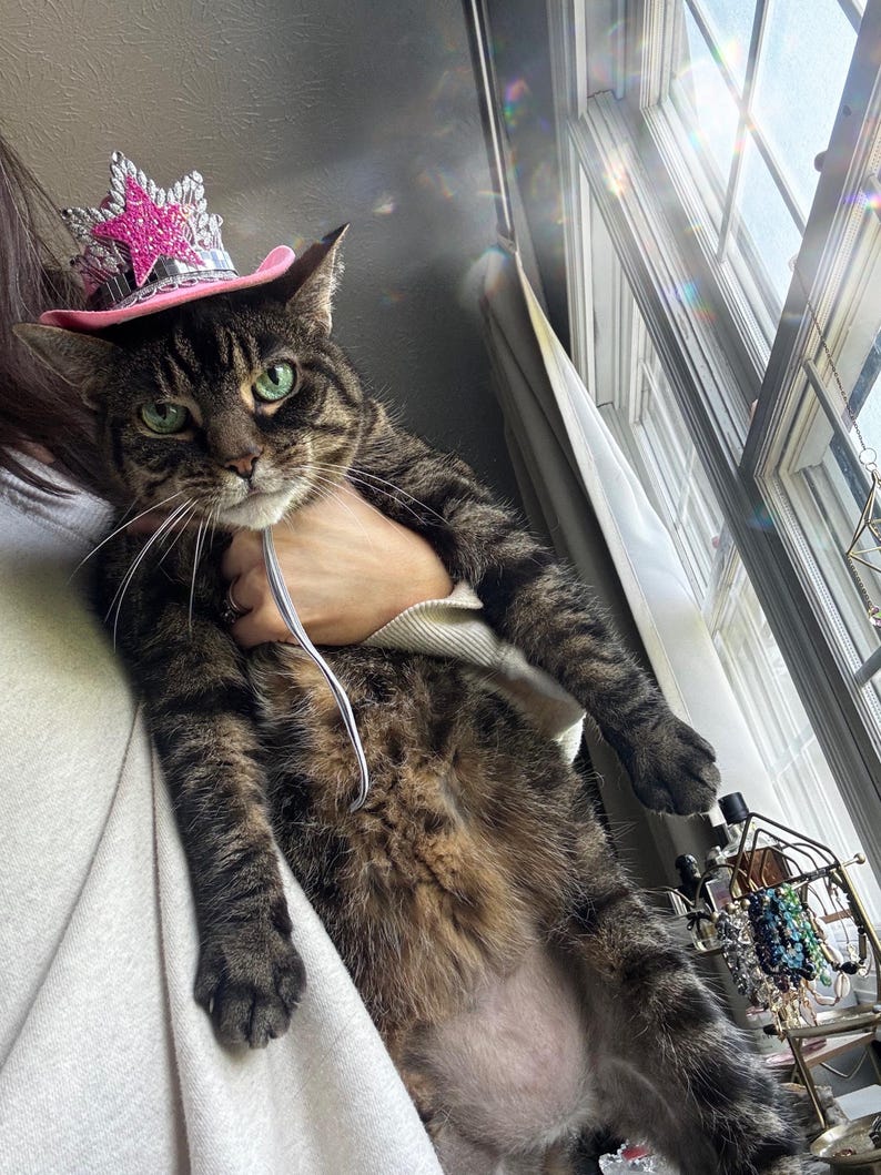 May include: A tabby cat wearing a pink and silver star-adorned hat. The cat has green eyes and is being held. The cat's fur is a mix of brown and black stripes. The hat is a small, decorative accessory.