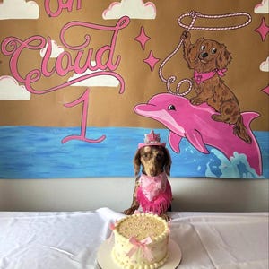 Pink cowgirl birthday hat for dogs with silver glitter crown and rhinestone number 1, modeled by dachshund during western themed puppy cake smash birthday photoshoot, handmade mini dog birthday hat for pets, puppy birthday outfit accessory, pink western dog party hat, dachshund birthday crown, first birthday puppy photoshoot prop, cowgirl puppy party accessory, handmade pet crown in USA