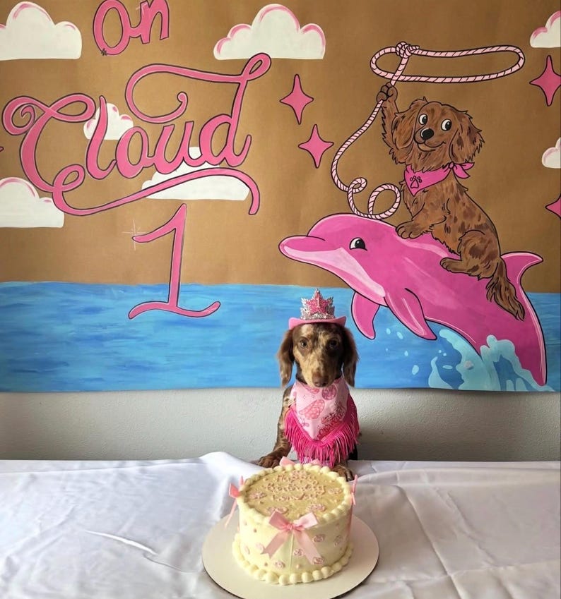 Pink cowgirl birthday hat for dogs with silver glitter crown and rhinestone number 1, modeled by dachshund during western themed puppy cake smash birthday photoshoot, handmade mini dog birthday hat for pets, puppy birthday outfit accessory, pink western dog party hat, dachshund birthday crown, first birthday puppy photoshoot prop, cowgirl puppy party accessory, handmade pet crown in USA