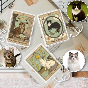May include: Tarot card stickers featuring cat illustrations. The cards include "The High Priestess", "The World", and "The Star". Each card has a unique cat design and background. Additional cat portraits are also included.