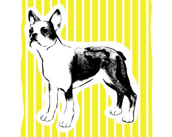 Boston Terrier Art Print  - Hand Printed