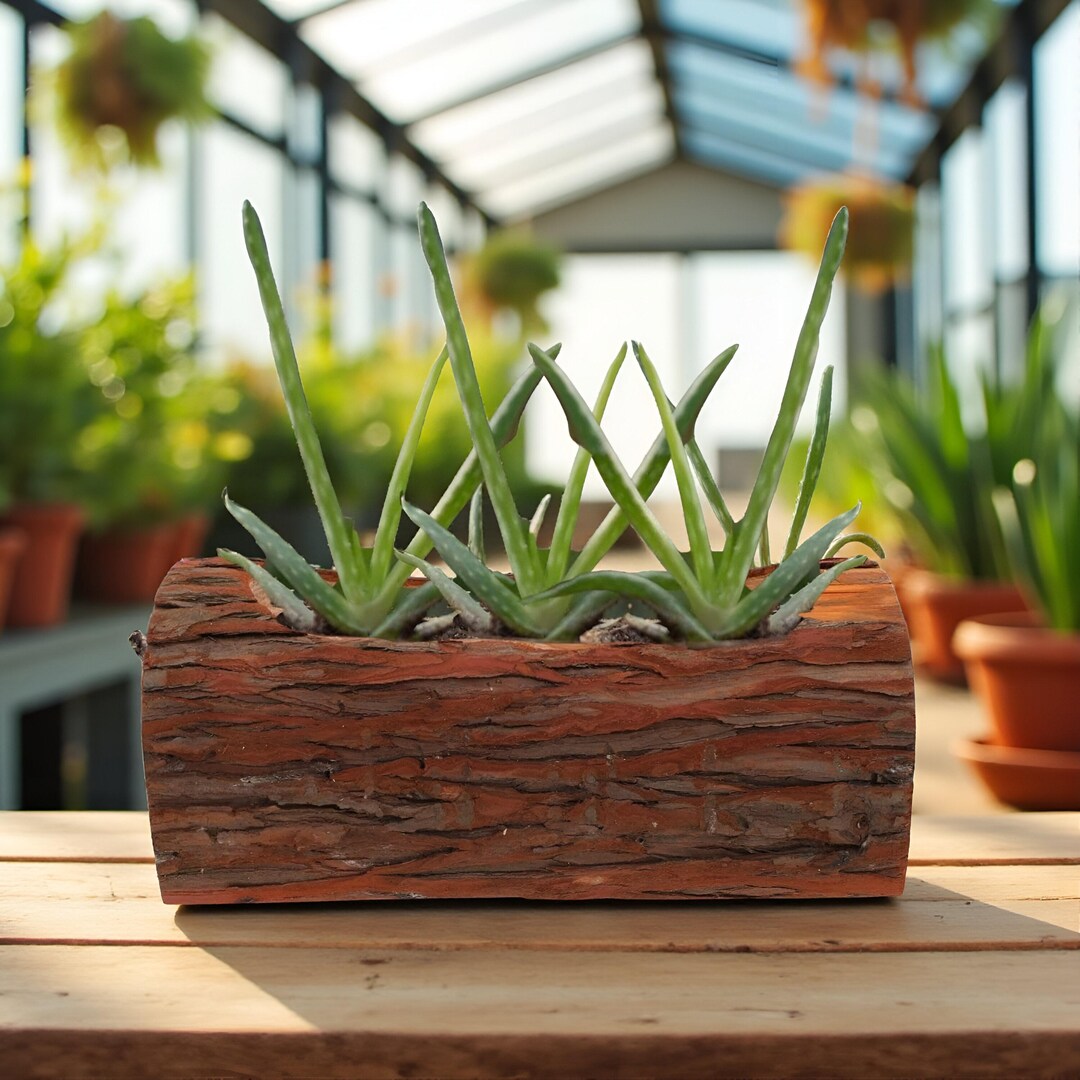 Rustic Wooden Log Planter Box – Personalized Engraved Succulent Pot ...