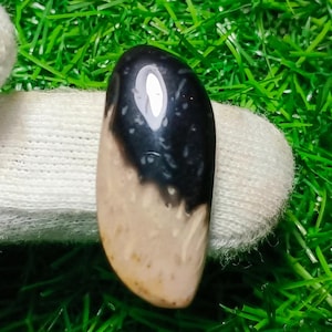Puede incluir: Una piedra preciosa pulida, de forma ovalada, con un llamativo diseño bicolor. La mitad superior es de color negro brillante, que pasa a un beige cremoso en la parte inferior. La piedra está sujeta por una tela blanca.