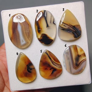 May include: Six polished agate gemstones in various shapes, including oval and teardrop. The stones display a range of colors, from light beige to deep brown, with intricate banding and patterns. Each stone is numbered for identification.