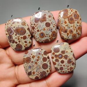 Natural Asteroid Jasper Cabochon 91 Carat(24 - 27 mm) – Healing Stone, Flat Back Gemstone for Jewelry Making, Loose Gem for Pendant or Ring