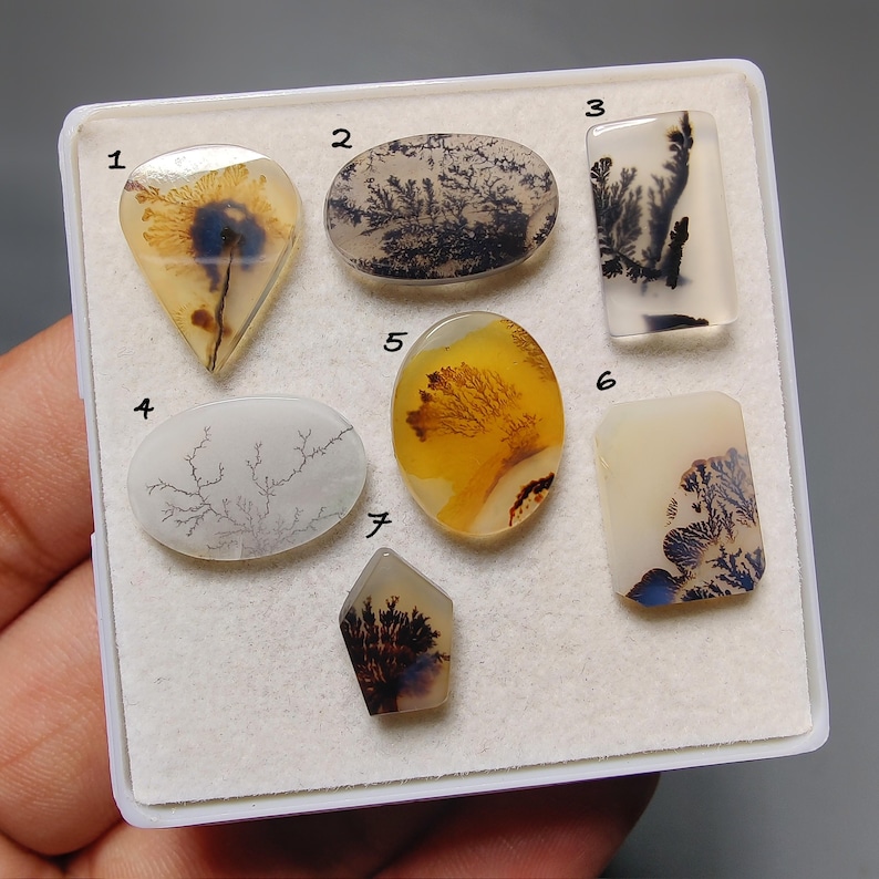 May include: A collection of seven polished dendritic agate cabochons arranged in a white display tray. Each stone features unique fern-like inclusions in shades of black, brown, and yellow against translucent or opaque white and cream backgrounds.