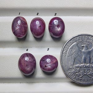 Può includere: Cinque gemme cabochon di colore magenta, levigate e di forma ovale, numerate da 1 a 5, disposte accanto a una moneta da 25 centesimi di dollaro statunitense per la scala. Ogni pietra presenta una superficie liscia con inclusioni naturali.