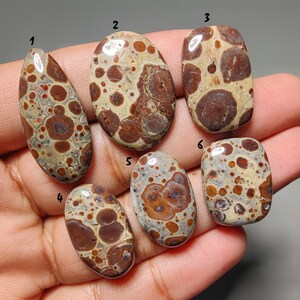 Peut inclure: Six pierres précieuses polies avec un motif tacheté dans les tons de marron, beige et crème. Les pierres varient en forme, y compris ovale et rectangulaire. Les pierres sont tenues dans une main, mettant en valeur leurs textures et couleurs naturelles.