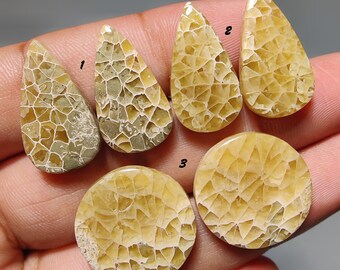 Pares de coral fósil natural – Gema suelta para la fabricación de joyas con parte posterior plana
