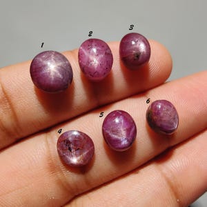 Op de afbeelding: Zes ovaalvormige, in cabochon geslepen ster-robijnen in verschillende tinten dieproze en magenta, elk met een duidelijk zesstralig asterisme-effect. De edelstenen zijn genummerd van één tot zes en vertonen natuurlijke insluitingen.